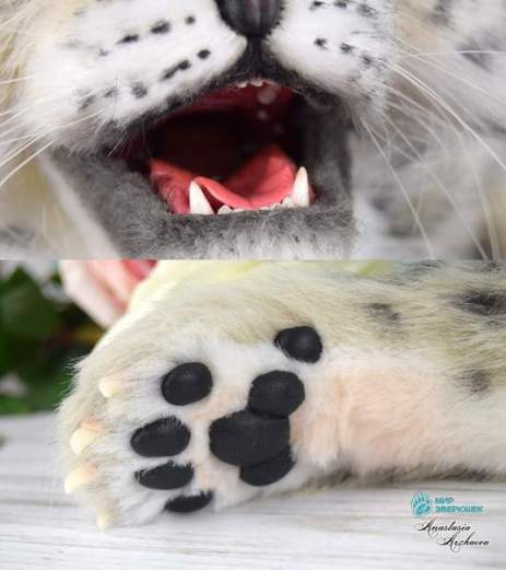 anas mouth and paw details